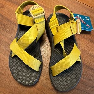 Brand New Chaco Mega Z/Cloud, 7M
Color:Solid Gold